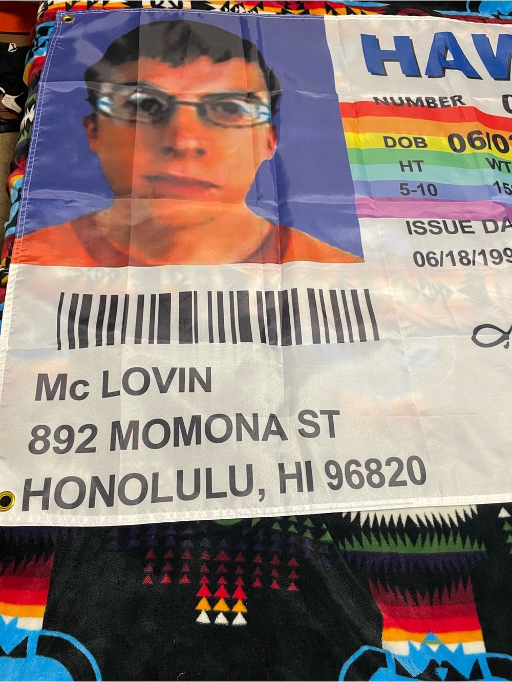 Novelty Hawaiian License Plate Party Banner - Multicolor